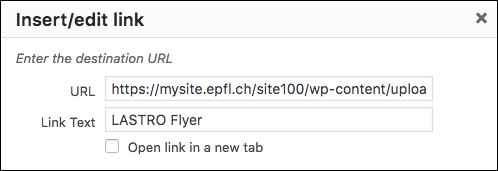 Add a link to a file