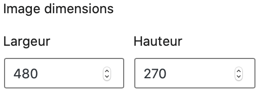 Redimensionner l'image par largeur et hauteur